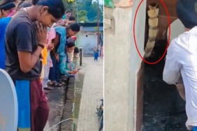 Hindistan'da Bir Evin Klozetinde Görülen Dev Kobra Mahallede Panik Yarattı