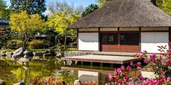 Japonya’da Bir Dolara Satılan Kırsal Konutlar Yüksek Güçlendirme Maliyetleri Nedeniyle Alıcı Bulamıyor